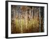 Crunchy-Ursula Abresch-Framed Photographic Print