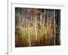 Crunchy-Ursula Abresch-Framed Photographic Print