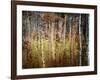 Crunchy-Ursula Abresch-Framed Photographic Print