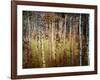 Crunchy-Ursula Abresch-Framed Photographic Print