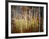 Crunchy-Ursula Abresch-Framed Photographic Print