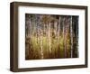 Crunchy-Ursula Abresch-Framed Photographic Print