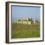 Crusader Castle, Krak Des Chevaliers, Syria-Michael Jenner-Framed Photographic Print