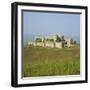 Crusader Castle, Krak Des Chevaliers, Syria-Michael Jenner-Framed Photographic Print