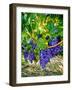 Crush and Fall in the Rattlesnake Hills, Yakima Valley, Washington, Usa-Richard Duval-Framed Photographic Print