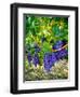 Crush and Fall in the Rattlesnake Hills, Yakima Valley, Washington, Usa-Richard Duval-Framed Premium Photographic Print