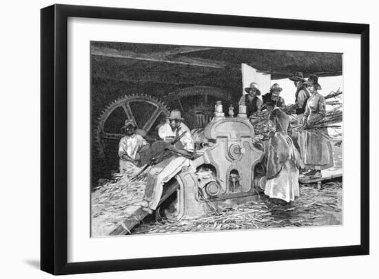 Crushing the Cane, 1886-W Mollier-Framed Giclee Print