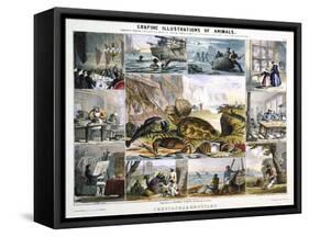 Crustacea and Reptiles, C1850-Robert Kent Thomas-Framed Stretched Canvas