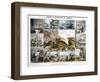 Crustacea and Reptiles, C1850-Robert Kent Thomas-Framed Giclee Print