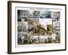 Crustacea and Reptiles, C1850-Robert Kent Thomas-Framed Giclee Print