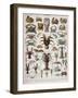 Crustacean Varieties-null-Framed Giclee Print