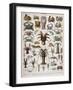 Crustacean Varieties-null-Framed Giclee Print