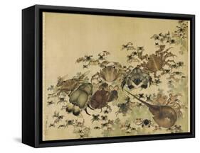 Crustaceans, Edo Period C.1825-Katsushika Hokusai-Framed Stretched Canvas