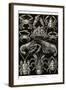 Crustaceans-Ernst Haeckel-Framed Art Print