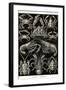 Crustaceans-Ernst Haeckel-Framed Art Print