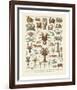 Crustaces-Adolphe Millot-Framed Art Print