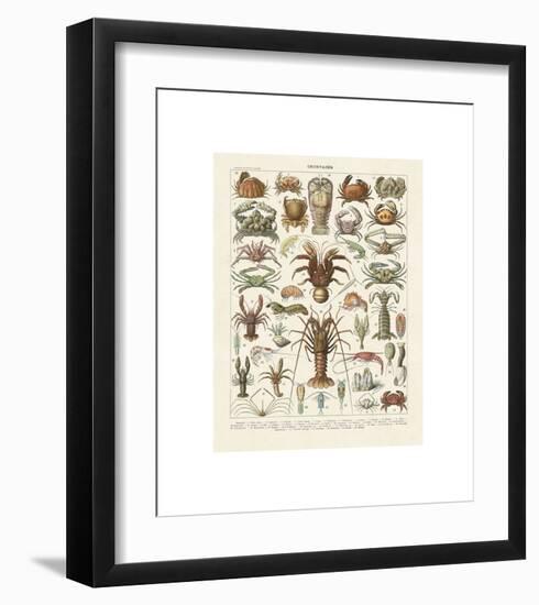 Crustaces-Adolphe Millot-Framed Giclee Print