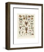 Crustaces-Adolphe Millot-Framed Art Print