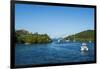 Cruz Bay, capital of St. John, Virgin Islands national park, US Virgin Islands, West Indies, Caribb-Michael Runkel-Framed Photographic Print