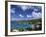 Cruz Bay, St, John, Us Virgin Islands, Caribbean-Walter Bibikow-Framed Photographic Print