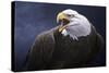 Cry of the Eagle-Jeremy Paul-Stretched Canvas