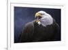 Cry of the Eagle-Jeremy Paul-Framed Giclee Print