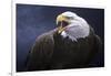 Cry of the Eagle-Jeremy Paul-Framed Giclee Print