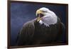 Cry of the Eagle-Jeremy Paul-Framed Giclee Print