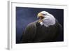 Cry of the Eagle-Jeremy Paul-Framed Giclee Print