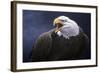 Cry of the Eagle-Jeremy Paul-Framed Giclee Print