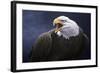 Cry of the Eagle-Jeremy Paul-Framed Giclee Print