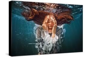 Cry-Dmitry Laudin-Stretched Canvas