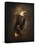 Crying for the Lost Bald Eagle-Jai Johnson-Framed Stretched Canvas