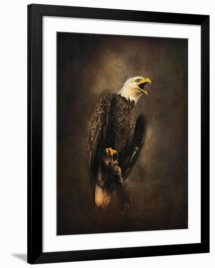 Crying for the Lost Bald Eagle-Jai Johnson-Framed Giclee Print