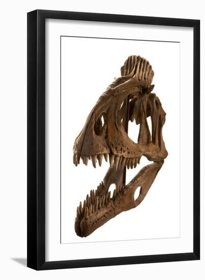 Cryolophosaurus Cast at Augustana College, Rock Island, Illinois.-Ira Block-Framed Giclee Print