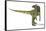 Cryolophosaurus Dinosaur, Artwork-null-Framed Stretched Canvas