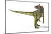 Cryolophosaurus Dinosaur, Artwork-null-Mounted Photographic Print