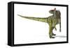 Cryolophosaurus Dinosaur, Artwork-null-Framed Stretched Canvas