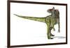 Cryolophosaurus Dinosaur, Artwork-null-Framed Photographic Print