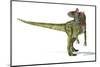 Cryolophosaurus Dinosaur, Artwork-null-Mounted Photographic Print