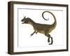 Cryolophosaurus Dinosaur, Side View-Stocktrek Images-Framed Art Print