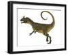 Cryolophosaurus Dinosaur, Side View-Stocktrek Images-Framed Art Print