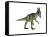 Cryolophosaurus Dinosaur-Stocktrek Images-Framed Stretched Canvas