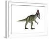 Cryolophosaurus Dinosaur-Stocktrek Images-Framed Art Print