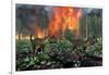 Cryolophosaurus Dinosaurs Fleeing from a Deadly Forest Fire-null-Framed Art Print