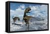 Cryolophosaurus Dinosaurs Roaming Modern Day Antarctica-Stocktrek Images-Framed Stretched Canvas