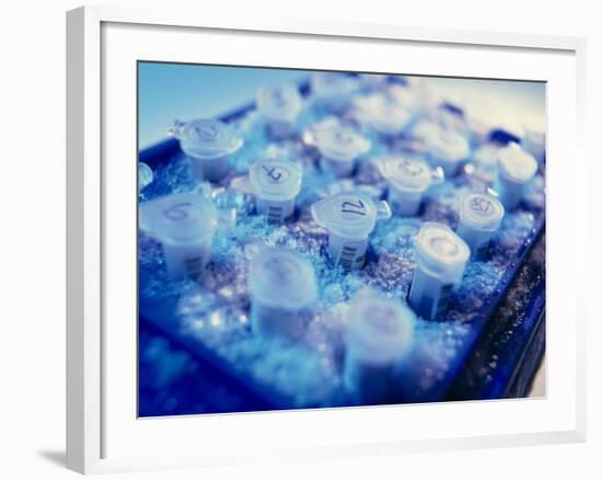 Cryostorage of DNA Samples In Microtubes-Tek Image-Framed Photographic Print