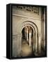 Crypt Entrance, St Peter in the Golden Sky Church, Pavia, Italy, 8th-12th Century-null-Framed Stretched Canvas