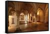 Crypt of Marienkirche (St Marys Church-null-Framed Stretched Canvas