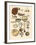 Cryptograms Plants-null-Framed Giclee Print